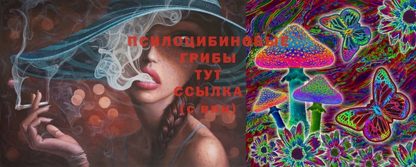 сатива Алзамай