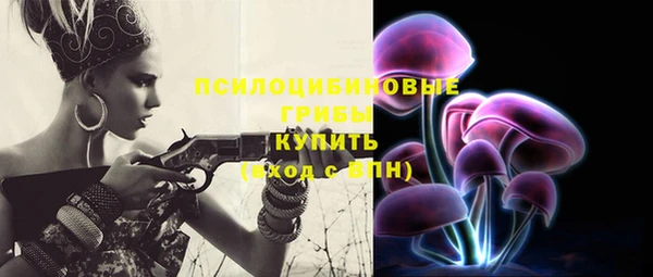 сатива Алзамай