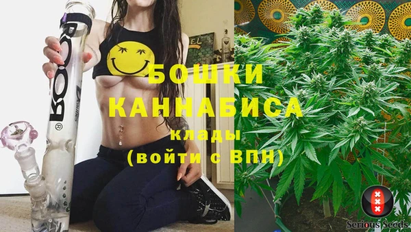 сатива Алзамай