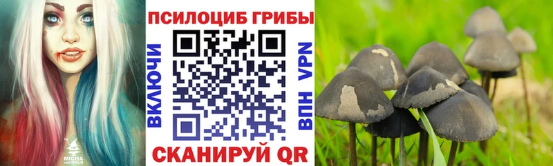 Галлюциногенные грибы прущие грибы  KRAKEN как войти  Островной 